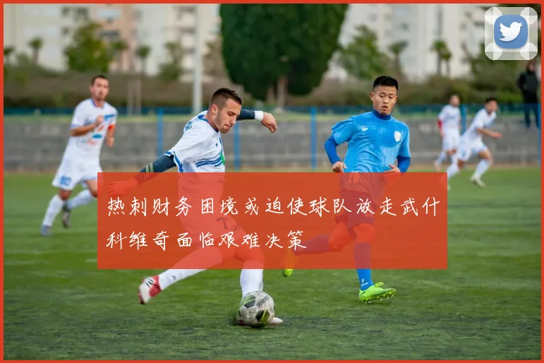 热刺财务困境或迫使球队放走武什科维奇面临艰难决策
